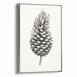 Vintage Botanical Art Prints – Black and White Pinecone Illustration
