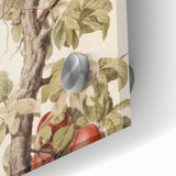 Vintage Botanical Art Prints – Apple Tree Illustration with Red Fruit