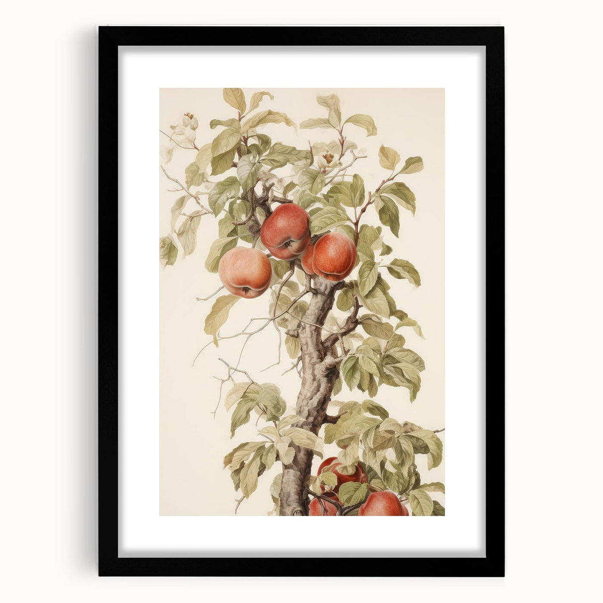 Vintage Botanical Art Prints – Apple Tree Illustration with Red Fruit