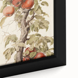 Vintage Botanical Art Prints – Apple Tree Illustration with Red Fruit