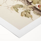 Vintage Botanical Art Prints – Apple Tree Illustration with Red Fruit