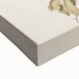 Vintage Botanical Art Prints – Apple Tree Illustration with Red Fruit