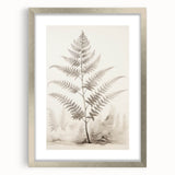 Vintage Botanical Art Prints – Fern Illustration in Black and White