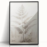 Vintage Botanical Art Prints – Fern Illustration in Black and White