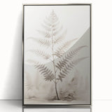 Vintage Botanical Art Prints – Fern Illustration in Black and White