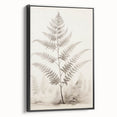 Vintage Botanical Art Prints – Fern Illustration in Black and White