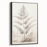 Vintage Botanical Art Prints – Fern Illustration in Black and White