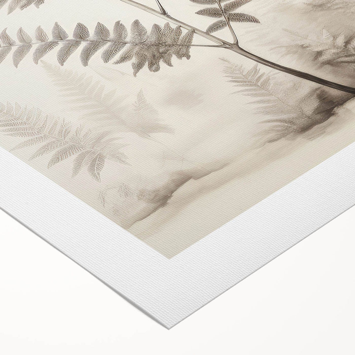 Vintage Botanical Art Prints – Fern Illustration in Black and White