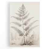 Vintage Botanical Art Prints – Fern Illustration in Black and White