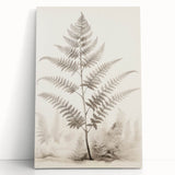 Vintage Botanical Art Prints – Fern Illustration in Black and White