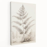 Vintage Botanical Art Prints – Fern Illustration in Black and White