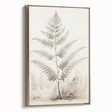 Vintage Botanical Art Prints – Fern Illustration in Black and White