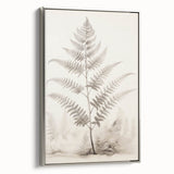 Vintage Botanical Art Prints – Fern Illustration in Black and White