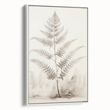 Vintage Botanical Art Prints – Fern Illustration in Black and White