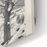 Vintage Botanical Art Prints – Snowy Tree Illustration in Black and White