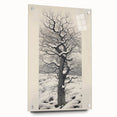 Vintage Botanical Art Prints – Snowy Tree Illustration in Black and White