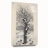 Vintage Botanical Art Prints – Snowy Tree Illustration in Black and White