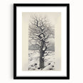 Vintage Botanical Art Prints – Snowy Tree Illustration in Black and White