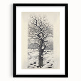 Vintage Botanical Art Prints – Snowy Tree Illustration in Black and White
