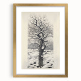 Vintage Botanical Art Prints – Snowy Tree Illustration in Black and White
