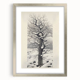 Vintage Botanical Art Prints – Snowy Tree Illustration in Black and White