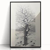 Vintage Botanical Art Prints – Snowy Tree Illustration in Black and White