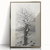 Vintage Botanical Art Prints – Snowy Tree Illustration in Black and White