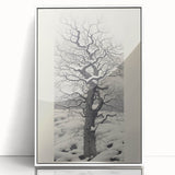 Vintage Botanical Art Prints – Snowy Tree Illustration in Black and White