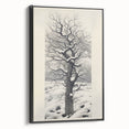 Vintage Botanical Art Prints – Snowy Tree Illustration in Black and White