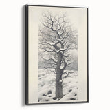 Vintage Botanical Art Prints – Snowy Tree Illustration in Black and White