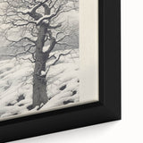 Vintage Botanical Art Prints – Snowy Tree Illustration in Black and White