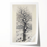 Vintage Botanical Art Prints – Snowy Tree Illustration in Black and White