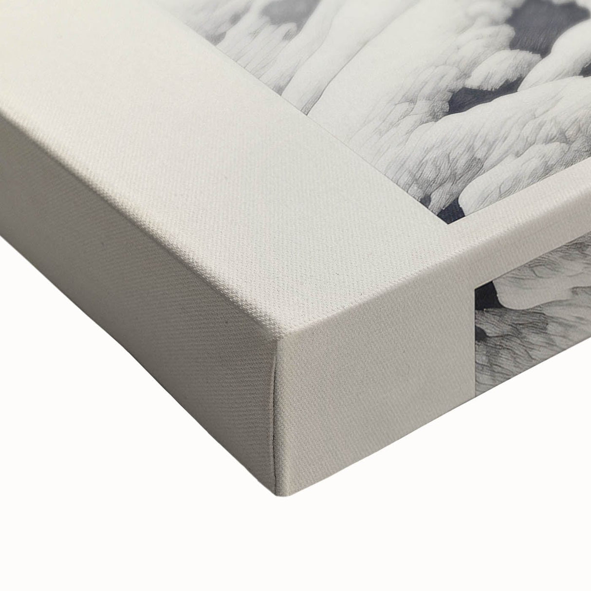 Vintage Botanical Art Prints – Snowy Tree Illustration in Black and White