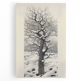 Vintage Botanical Art Prints – Snowy Tree Illustration in Black and White
