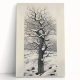 Vintage Botanical Art Prints – Snowy Tree Illustration in Black and White