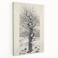 Vintage Botanical Art Prints – Snowy Tree Illustration in Black and White