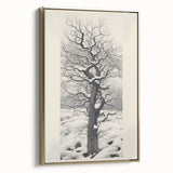 Vintage Botanical Art Prints – Snowy Tree Illustration in Black and White