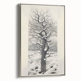 Vintage Botanical Art Prints – Snowy Tree Illustration in Black and White