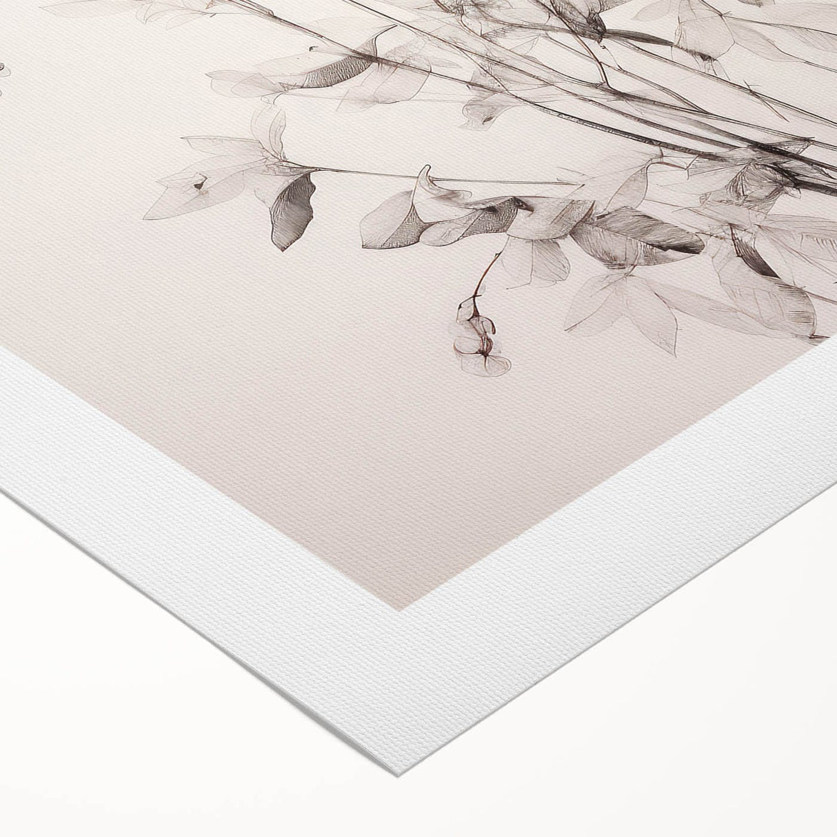 Vintage Botanical Art Prints – Soft Pink Floral Illustration