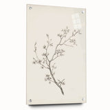 Vintage Botanical Art Prints – Black and White Branch Illustration