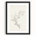 Vintage Botanical Art Prints – Black and White Branch Illustration
