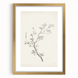 Vintage Botanical Art Prints – Black and White Branch Illustration