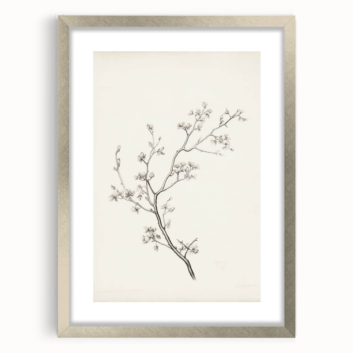 Vintage Botanical Art Prints – Black and White Branch Illustration