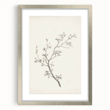 Vintage Botanical Art Prints – Black and White Branch Illustration
