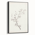 Vintage Botanical Art Prints – Black and White Branch Illustration