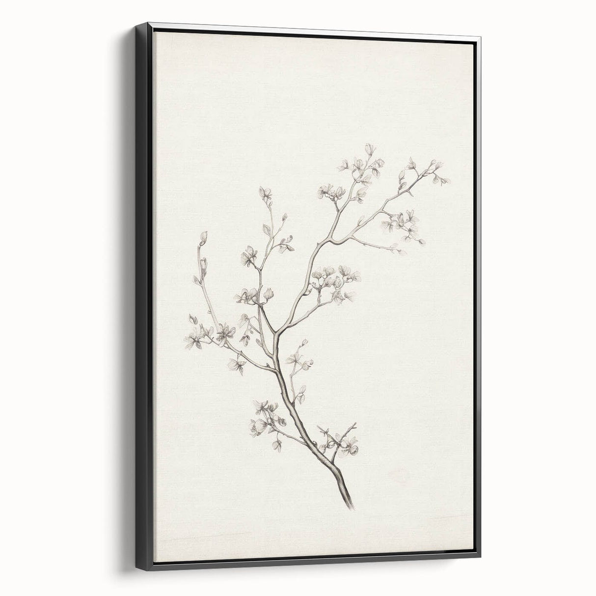 Vintage Botanical Art Prints – Black and White Branch Illustration