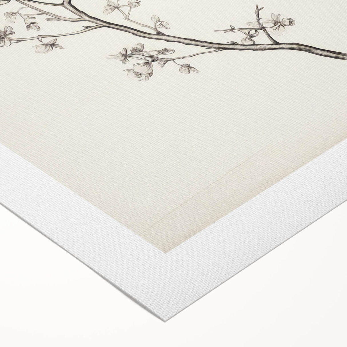Vintage Botanical Art Prints – Black and White Branch Illustration