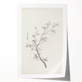 Vintage Botanical Art Prints – Black and White Branch Illustration