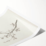 Vintage Botanical Art Prints – Black and White Branch Illustration