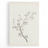 Vintage Botanical Art Prints – Black and White Branch Illustration